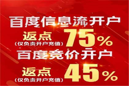 SEM服务优势案例分享